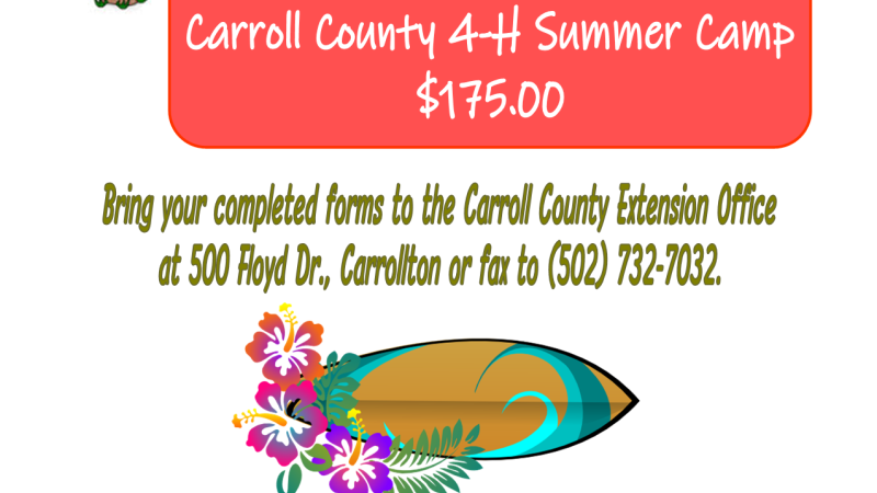 4-H Camp