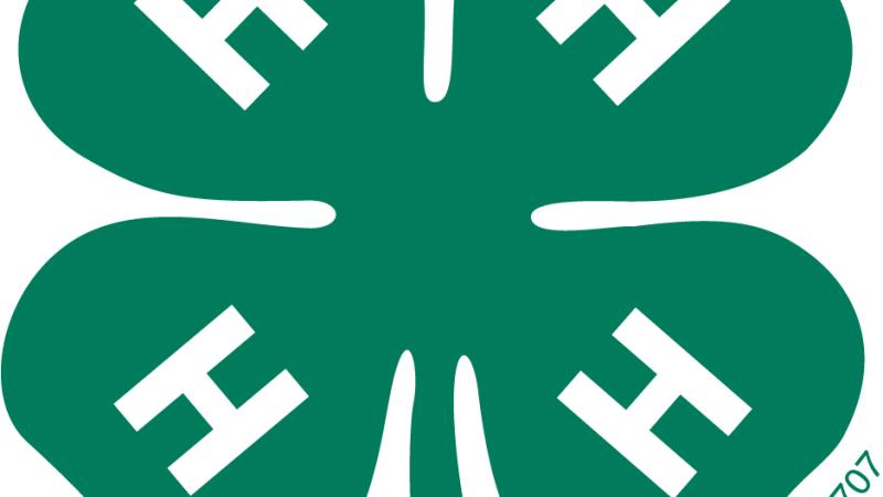 4-H logo